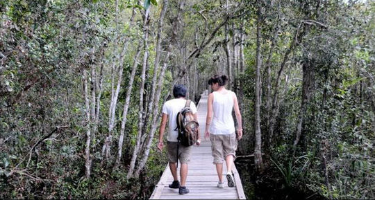 Wisata alam liar di Taman Nasional Tanjung Puting