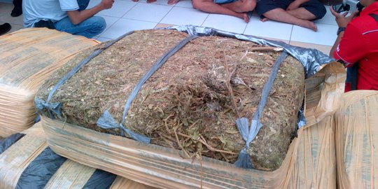 Simpan ganja 23 Kg, pedagang asongan di Karawang dicokok