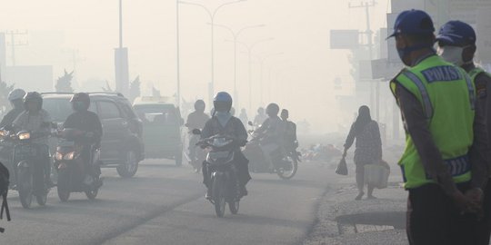Taman nasional di Inhu terbakar, kabut asap Riau makin pekat