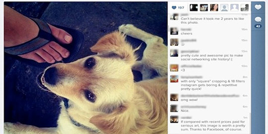 di instagram rev1