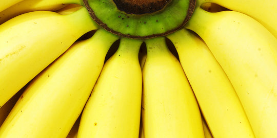 6 Fakta mengejutkan tentang nutrisi dalam pisang