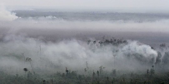 Asap terus meluas, udara di Pekanbaru nyatakan tak sehat