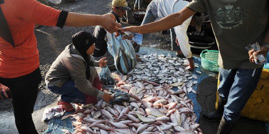 Cuaca buruk, harga ikan dan cabai di Aceh naik 2 kali lipat