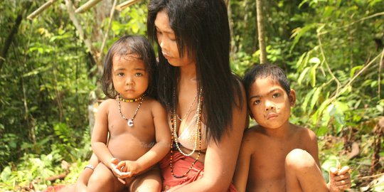 Datangi kantor bupati, Suku Anak Dalam minta dibuatkan jalan