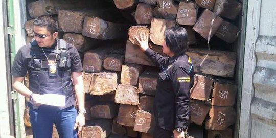 Muat kayu jati ilegal, 9 kontainer ditahan di Tanjung Perak