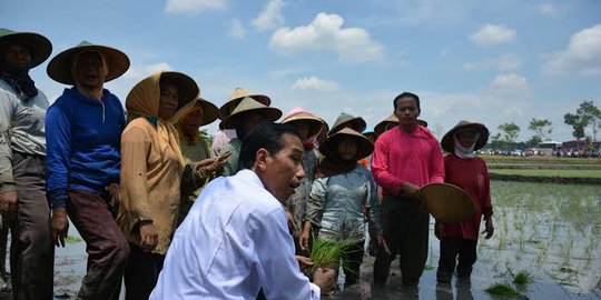 Hadapi liberalisasi ASEAN, Jokowi wajib bagi lahan ke petani