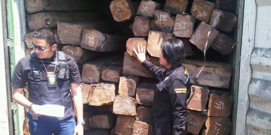 Jarang dijaga, ratusan kubik kayu sitaan raib dari gudang