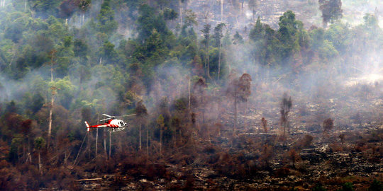 Kemenhut sebut 6.000 hektare hutan di Riau dan Sumut terbakar