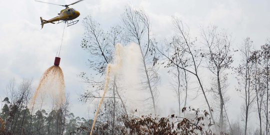 Tanggulangi kebakaran hutan, Kapolda dan Pemda diminta responsif