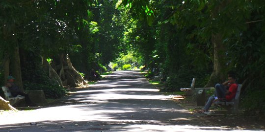 Warga resah, tempat wisata Bukit Sulap Lubuklinggau rawan rampok