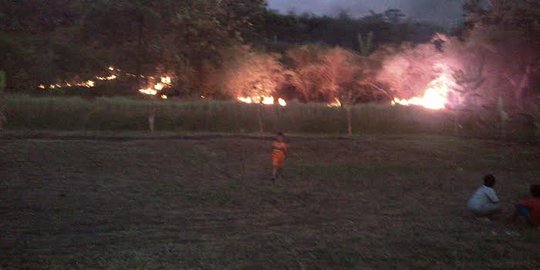 Kemarau, lahan bekas lapangan golf di Semarang terbakar