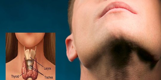 sifat pelupa ternyata disebabkan oleh 8 faktor aneh ini