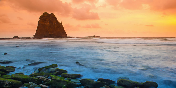 Pantai Tapak Kera Destinasi Tersembunyi Yang Menyimpan Misteri