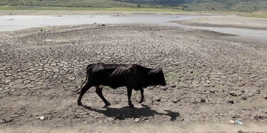 Krisis air bersih Sukoharjo, sejumlah LSM lakukan dropping air