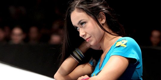 9 bidadari wwe terkaya di 2014