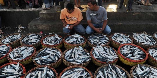Menteri KKP: Penghasilan nelayan Rp 52 juta, petani Rp 20 juta