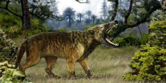 6 pemangsa buas purba ini lenyap akibat evolusi