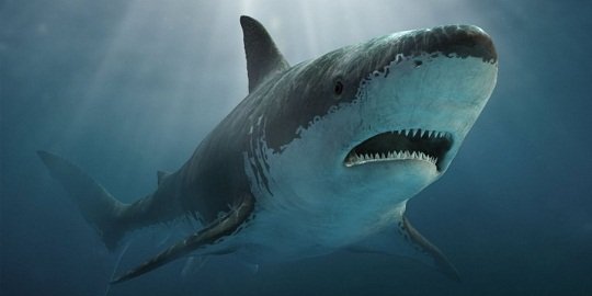 6 pemangsa buas purba ini lenyap akibat evolusi