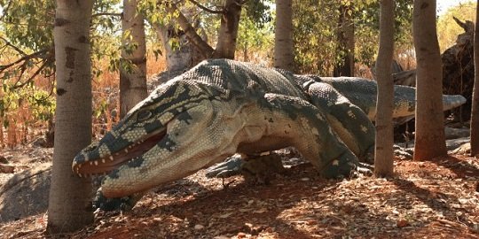 6 Pemangsa Buas Purba Ini Lenyap Akibat Evolusi Merdeka Com