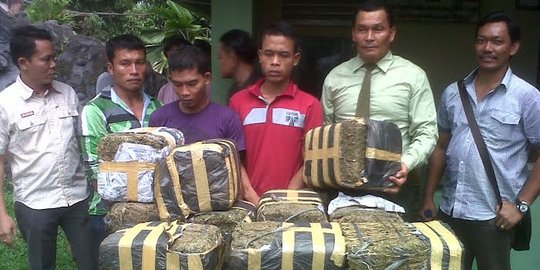 Intel Kodam Bukit Barisan gagalkan pengiriman 50 Kg ganja