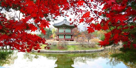 5 Alasan untuk mengunjungi Korea Selatan di musim gugur