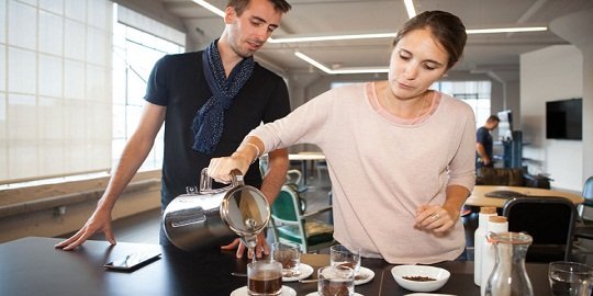 Unik, ilmuwan buat kopi luwak tanpa bantuan luwak