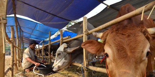 diyakini membawa berkah rev2