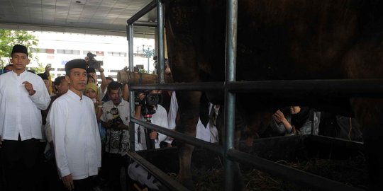 Hari Raya Idul Adha, Jokowi kurban 20 sapi dan 44 kambing