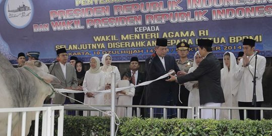 Presiden SBY berkurban sapi seberat 1 ton di Masjid Istiqlal