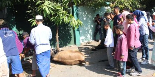 Siswa Semarang rayakan Idul Adha dengan lomba foto hewan kurban