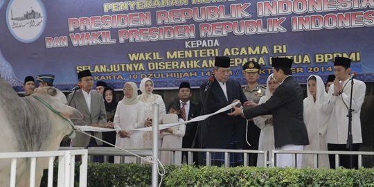 Hindari ricuh, panitia Istiqlal antar daging kurban ke masjid