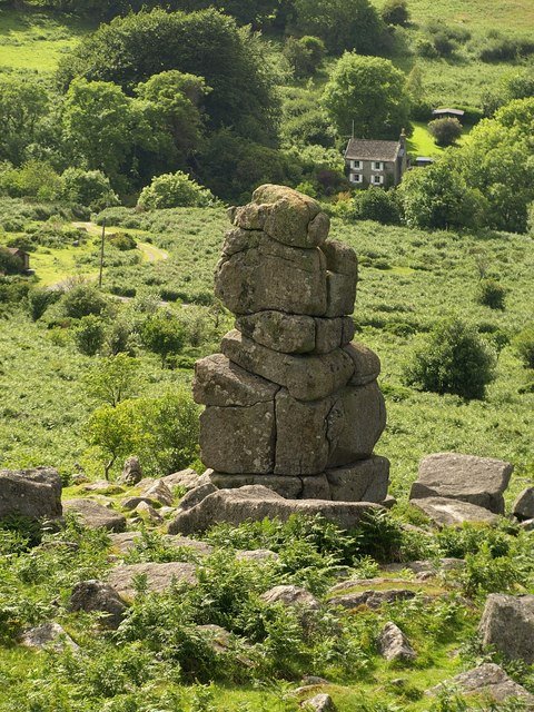 bowerman nose