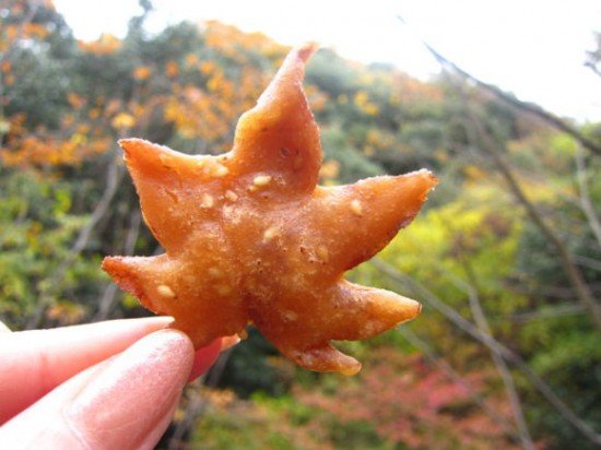 tempura maple