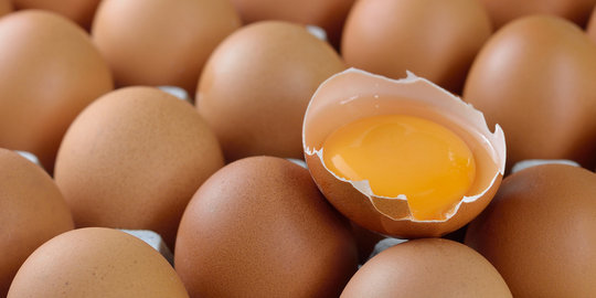Makan telur setiap hari, amankah?