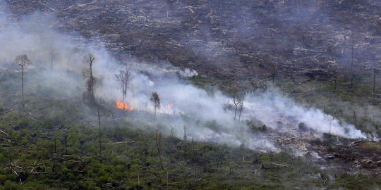 Guru Besar IPB: Kebakaran di Riau ulah perusahaan perkebunan