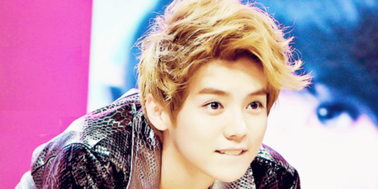luhan, zulkifli hasan, dan 'thor' rajai google minggu ini