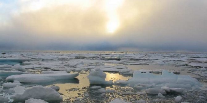 Pemanasan Global Air Laut Kini Makin Mengandung Asam Merdeka Com