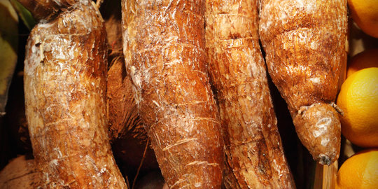 Produk herbal dan cemilan tradisional mulai disukai dunia