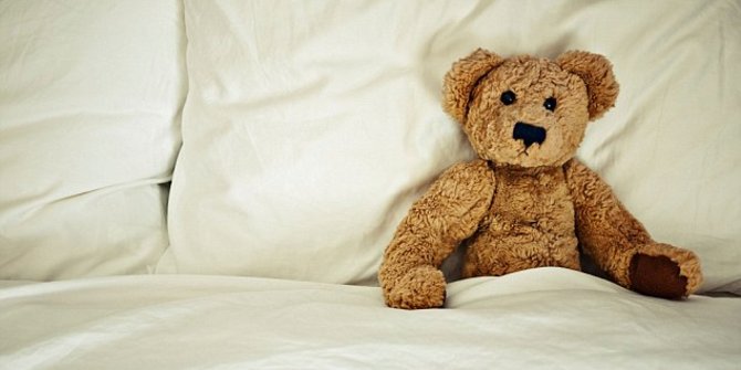 Saking berahi, maling ini bercinta dengan boneka Teddy 