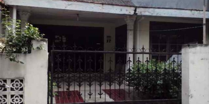 Elang yang rawat ibunya sakit kanker dikenal pintar 