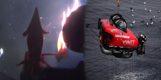 Wow, kapal selam 'Greenpeace' diserang cumi-cumi raksasa
