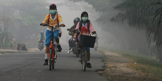 Seluruh sekolah di Tanjabar diliburkan karena kabut asap