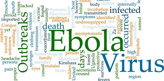 Cegah Ebola dari kepulangan haji, Semarang siapkan ruang isolasi