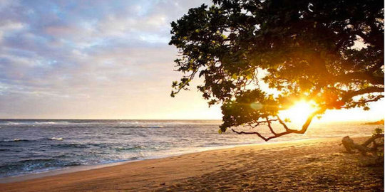 lahan hijau dan pantai berpasir putih yang luas rev3