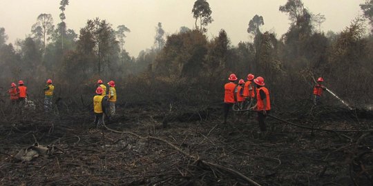 Kebakaran hutan seluas 5 hektare di puncak Merbabu dipadamkan