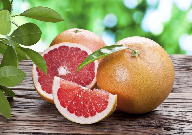 ilustrasi grapefruit