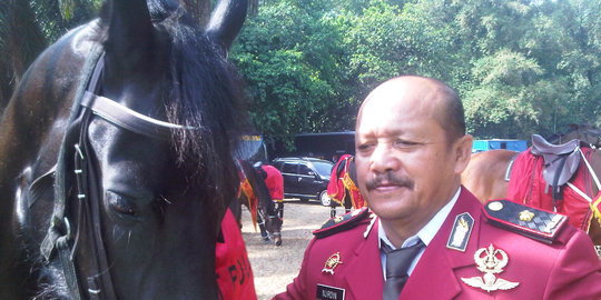Kuda asal Belanda seharga Rp 1 miliar jaga pelantikan Jokowi-JK