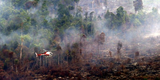319 Hektare kawasan konservasi di Sumsel terbakar