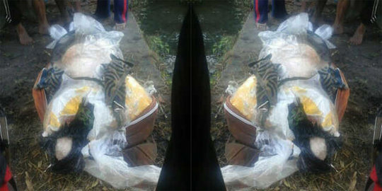 sewa pembunuh bayaran demi kuasai harta suami rev3