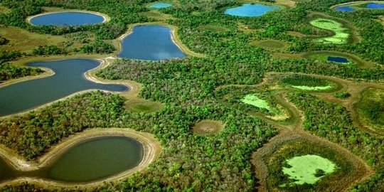 Pantanal, ekosistem lahan basah air tawar terbesar di 